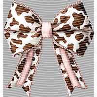 Country music-CM-491